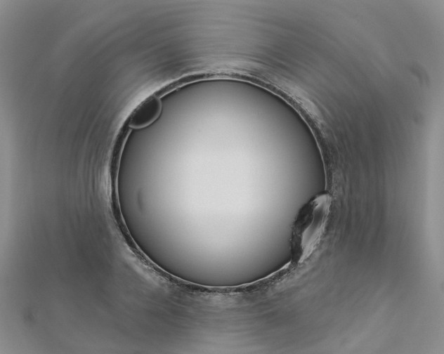 X0000112820936200908210957