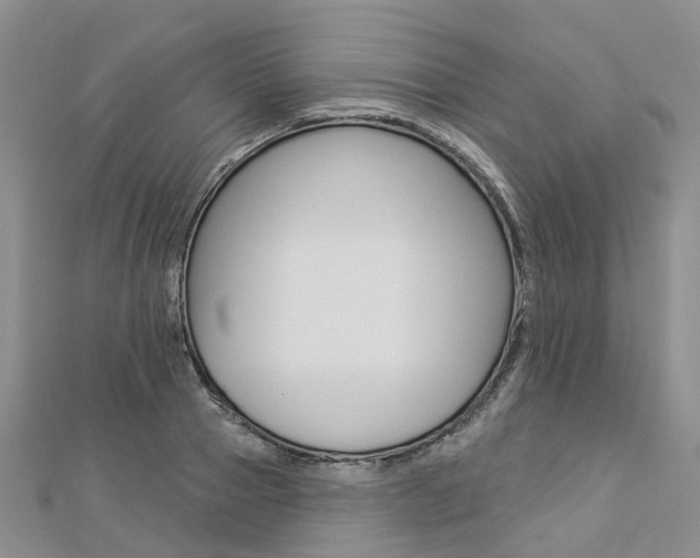 X0000112820937200908210957
