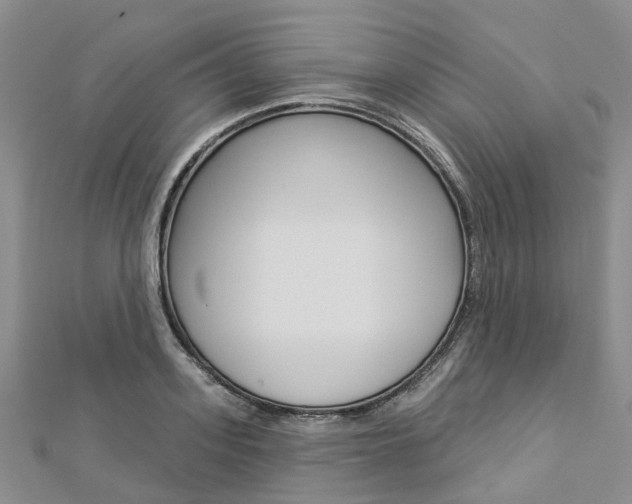 X0000112820939200908210957