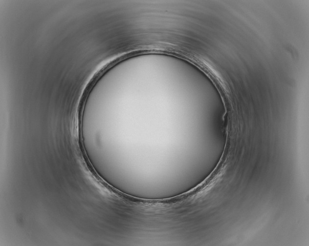 X0000112820940200908210957