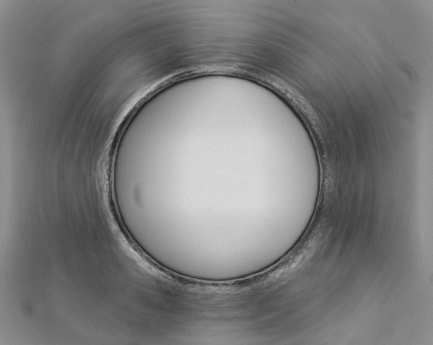 X0000112820941200908210957