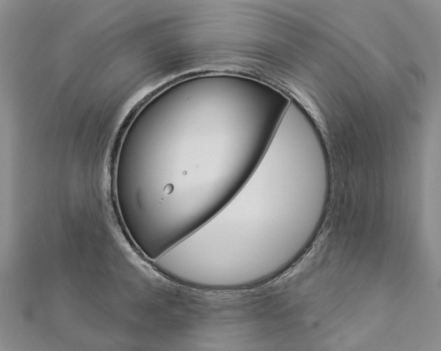 X0000112820944200908210957