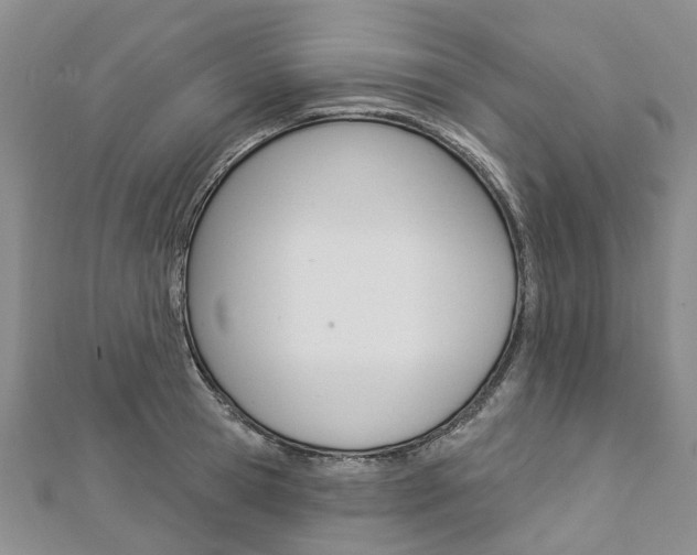 X0000112820945200908210957