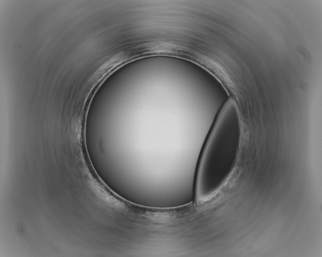 X0000112820946200908210957