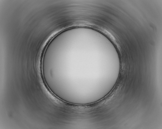 X0000112820947200908210957