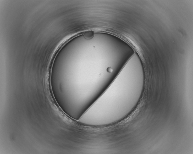 X0000112820948200908210957