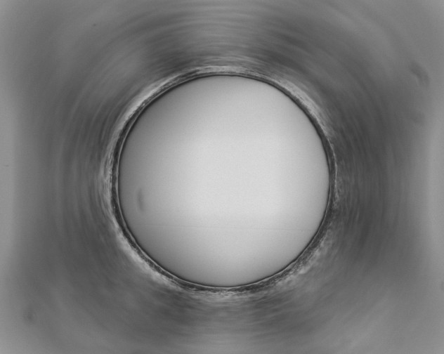 X0000112820949200908210957