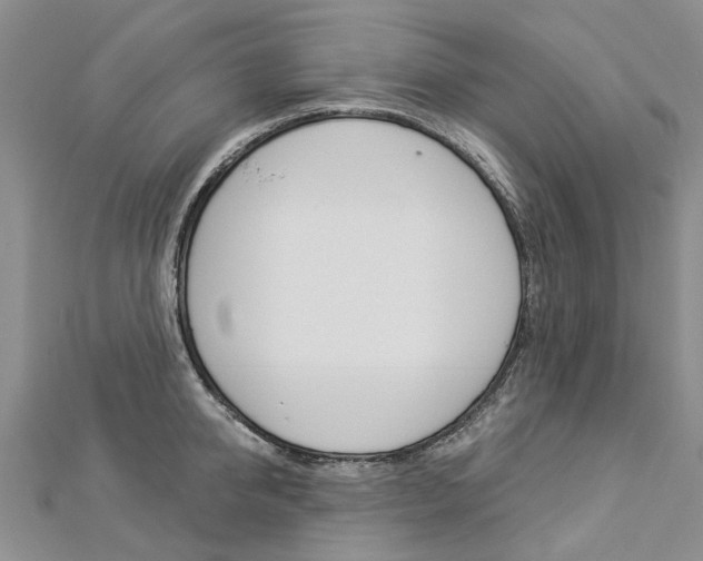 X0000112820950200908210957