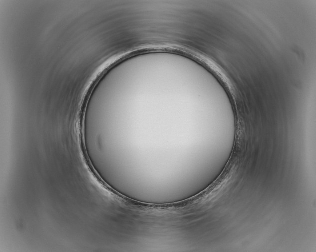 X0000112820951200908210957