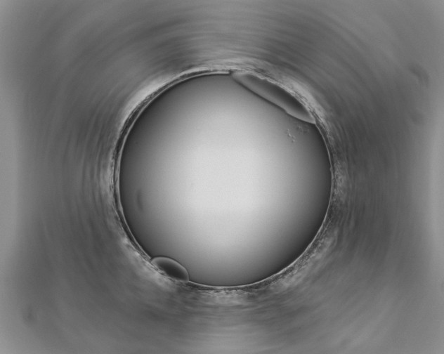 X0000112820952200908210957