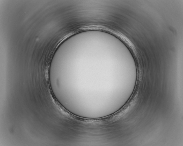 X0000112820953200908210957