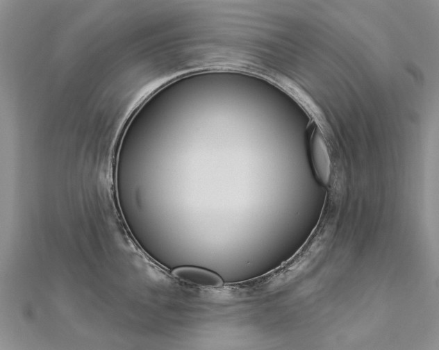 X0000112820956200908210957