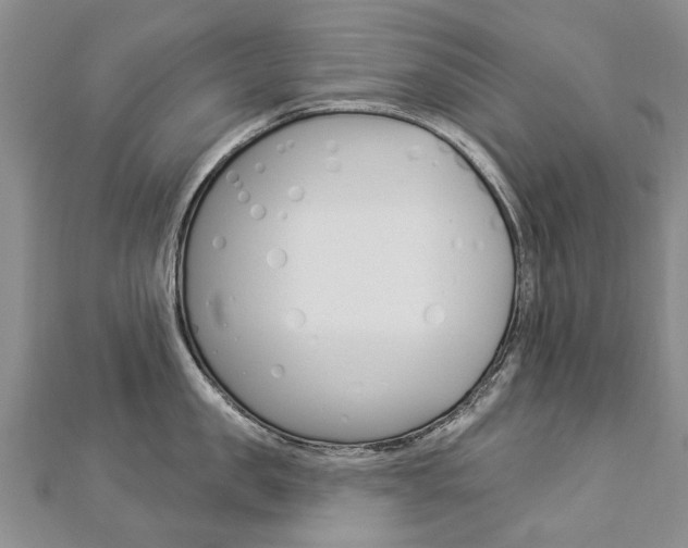 X0000112820957200908210957