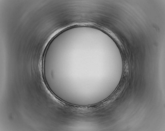 X0000112820959200908210957