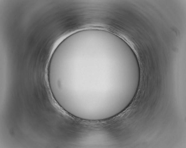 X0000112820960200908210957