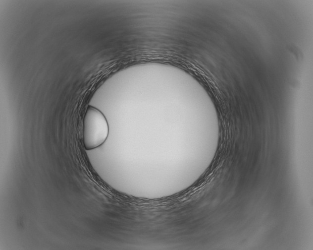 X0000112820961200908210957