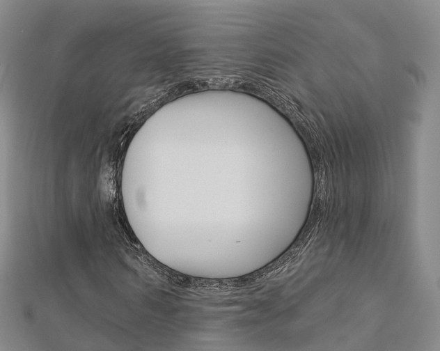 X0000112820962200908210957