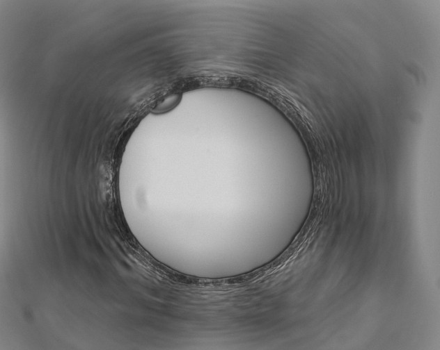 X0000112820964200908210957