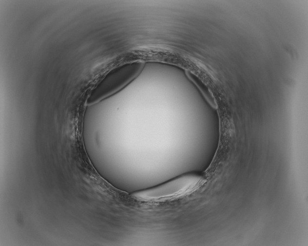 X0000112820965200908210957