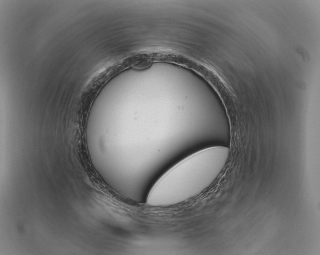 X0000112820967200908210957