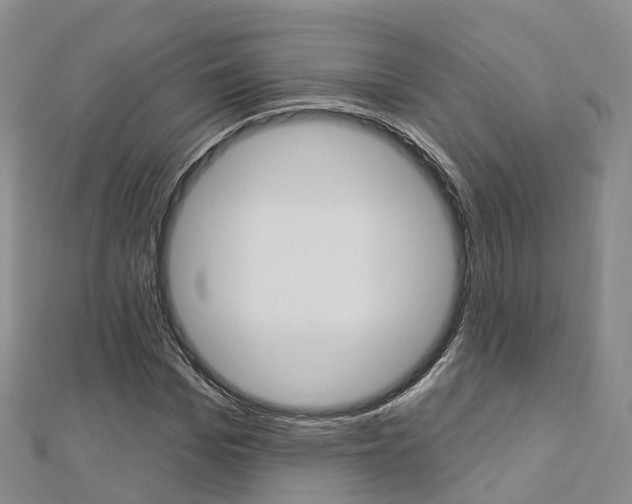 X0000112820969200908210957