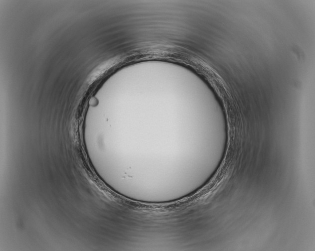 X0000112820970200908210957