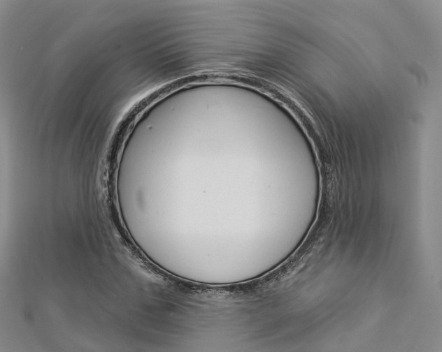 X0000112820971200908210957