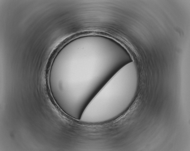 X0000112820972200908210957