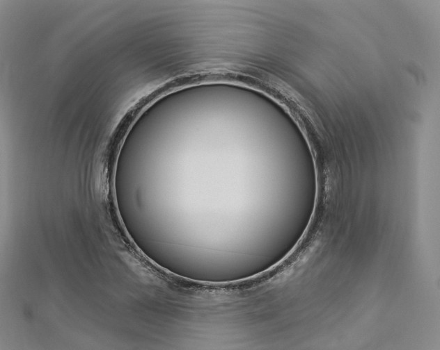 X0000112820973200908210957