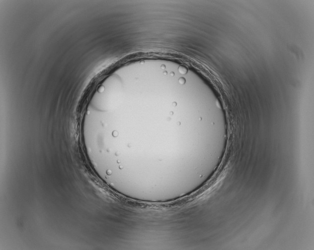 X0000112820974200908210957