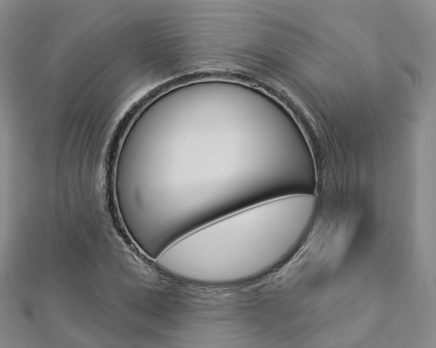 X0000112820975200908210957