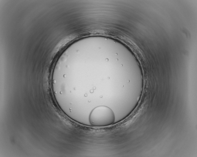 X0000112820978200908210957