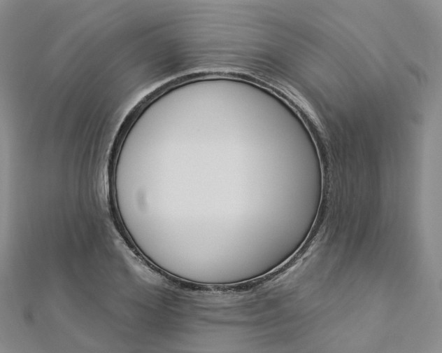 X0000112820980200908210956