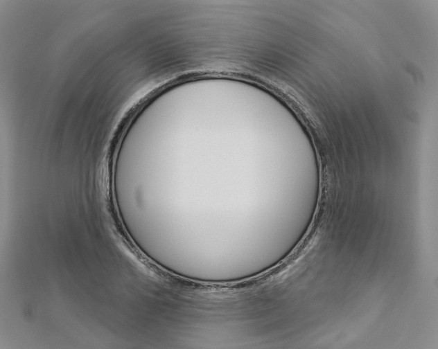 X0000112820982200908210956