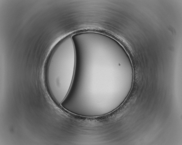 X0000112820983200908210956