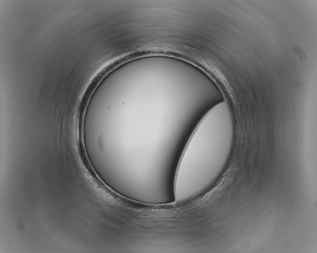 X0000112820984200908210956
