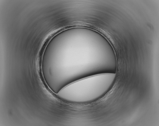 X0000112820987200908210956