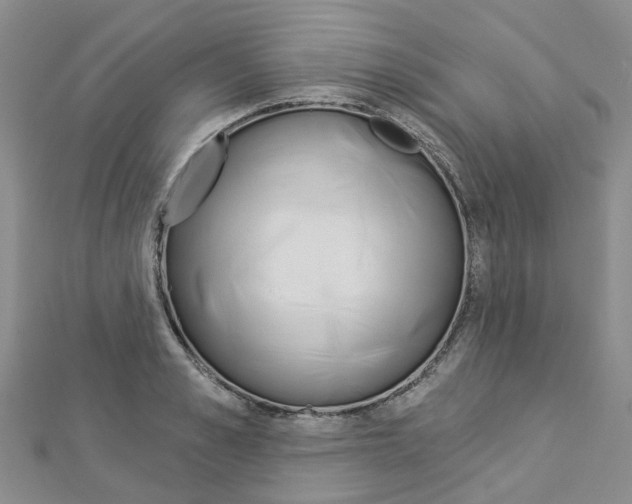 X0000112820989200908210956