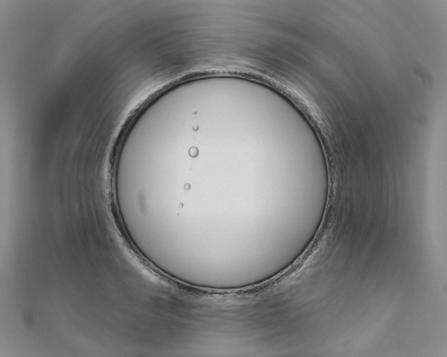X0000112820990200908210956