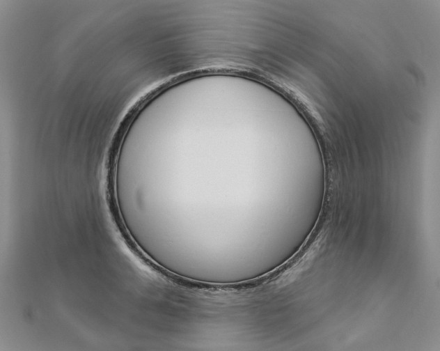 X0000112820991200908210956