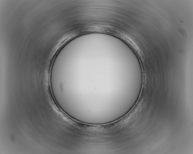 X0000112820994200908210956