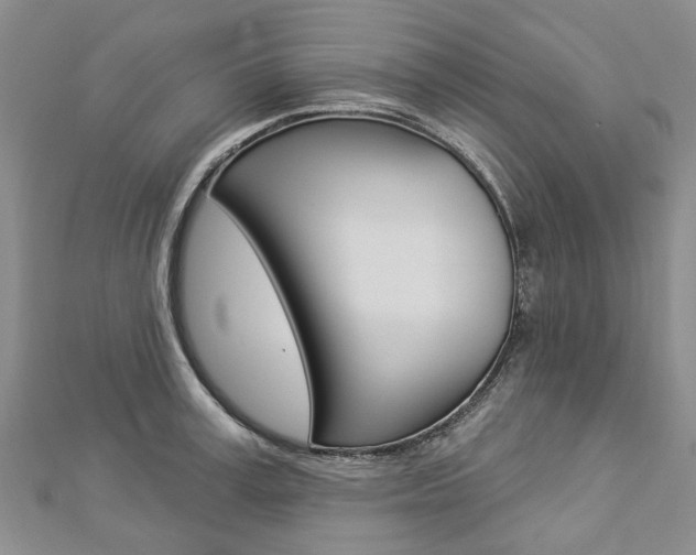 X0000112820995200908210956
