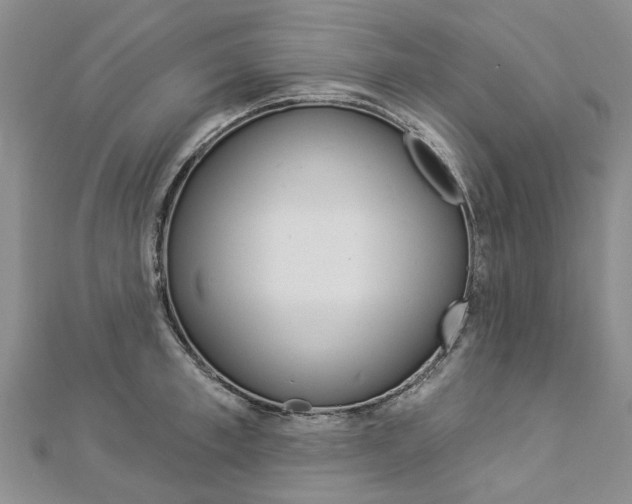X0000112820997200908210956