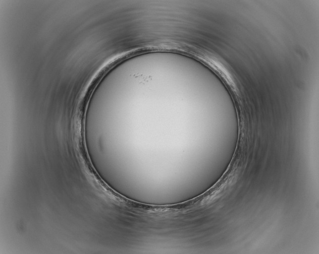 X0000112821000200908210956