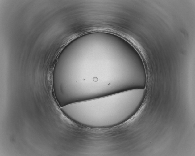 X0000112821001200908210956