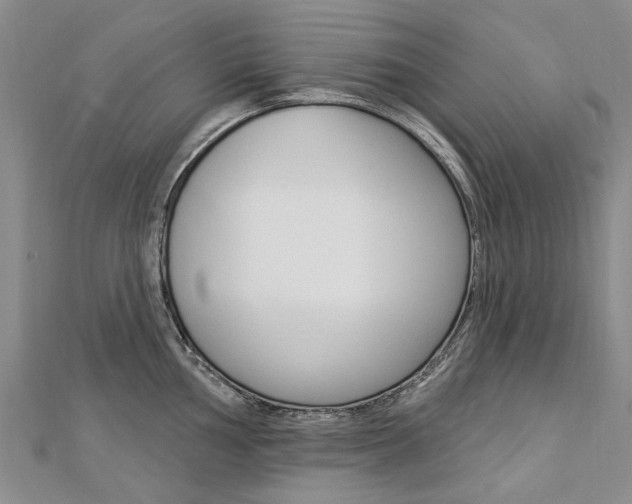 X0000112821002200908210956