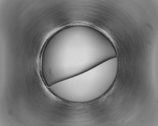X0000112821003200908210956