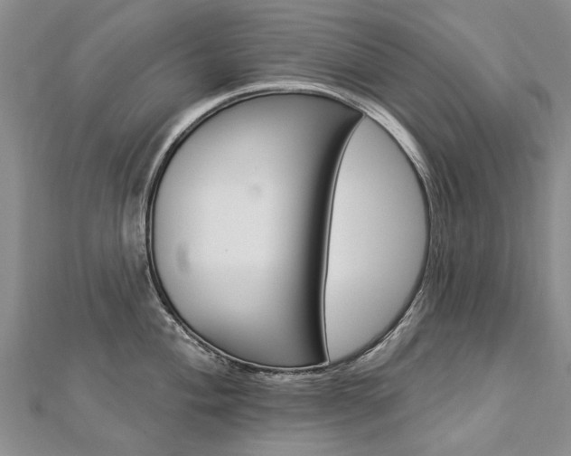 X0000112821004200908210956