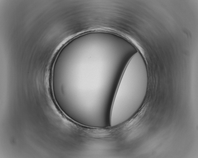 X0000112821007200908210956