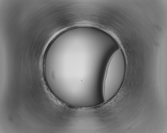 X0000112821008200908210956